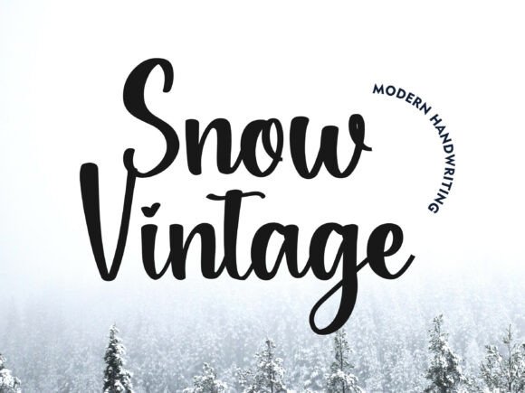 Exploring the Timeless Character of Snowvintage